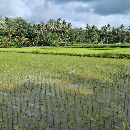 New 4 Bedroom Villa Surrounded By Jungle And Ricefields Убуд Екстер'єр фото