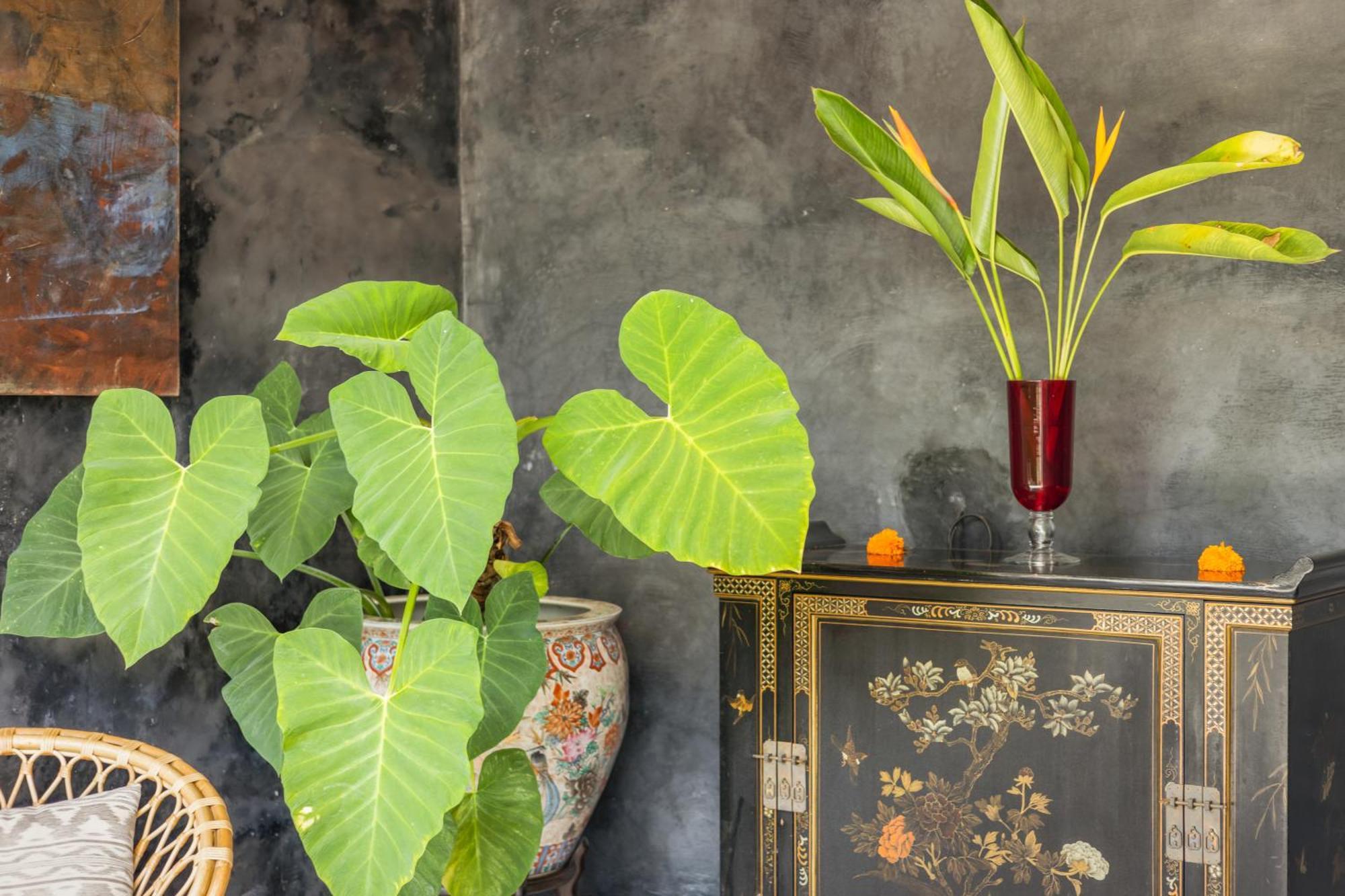 New 4 Bedroom Villa Surrounded By Jungle And Ricefields Убуд Екстер'єр фото